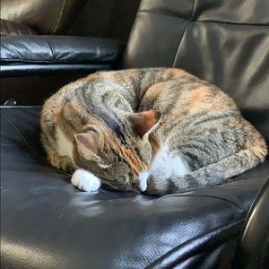 Meet your Posher, Beth